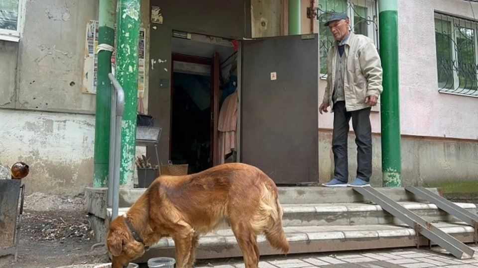 � ���������� ���� ������ � ����� � ���������� ������ ������� ����������