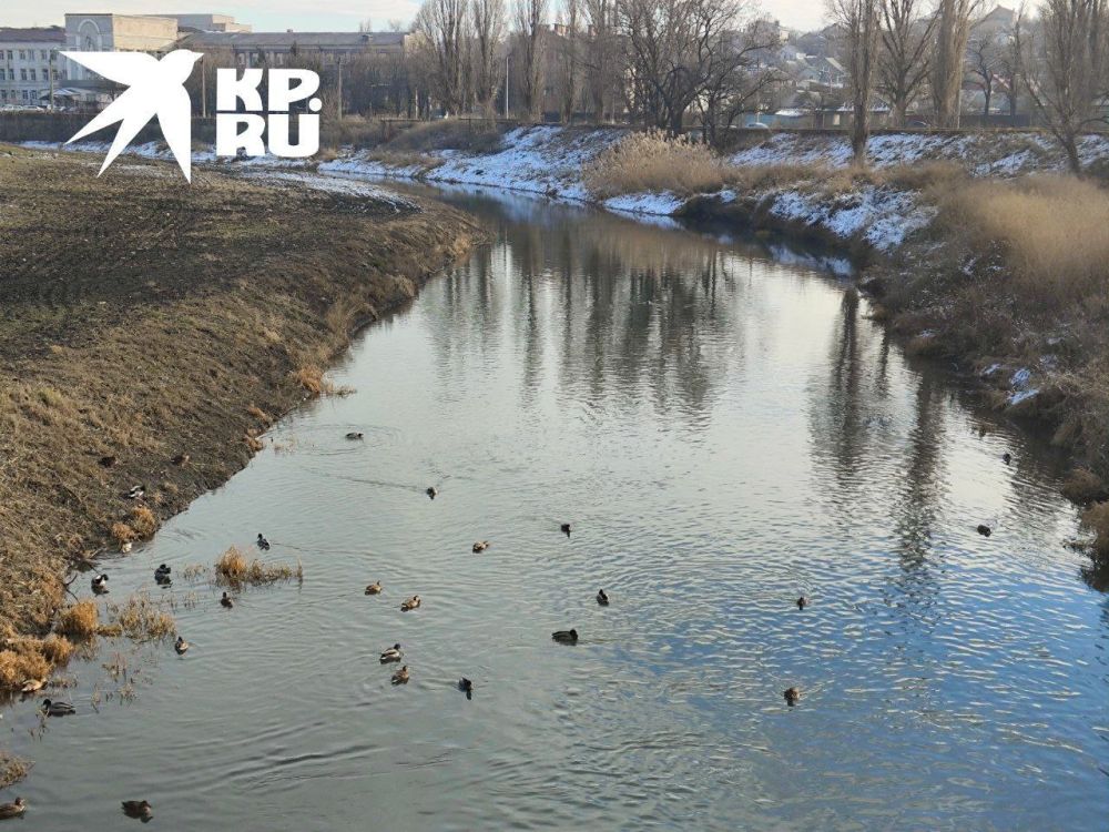 � ���� ���������: � ������� �������� ����� ������ �����