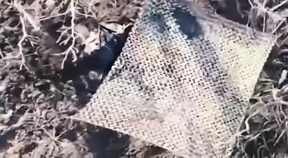 �� ���������� ����������� ������ ������ ���