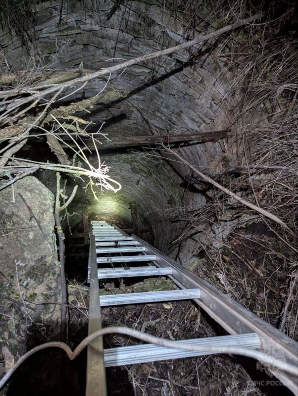 � ��������� ������� ���� � �������