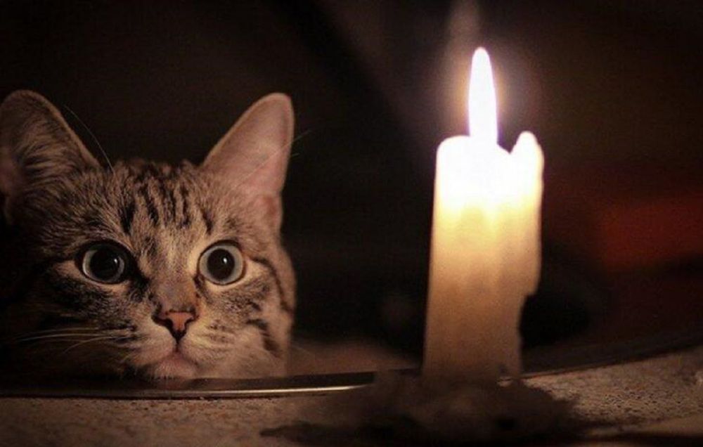 � ������� �� �������� � ��� �������� ��������� ���������� ��������������