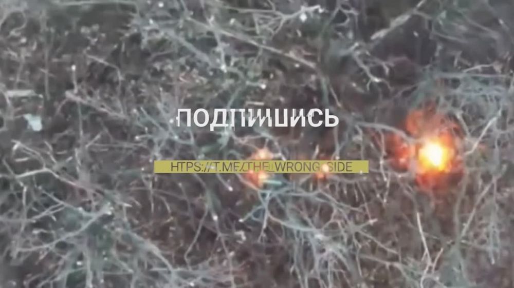 ����������� �� ���� 66 ���� ��� � ������ �.�