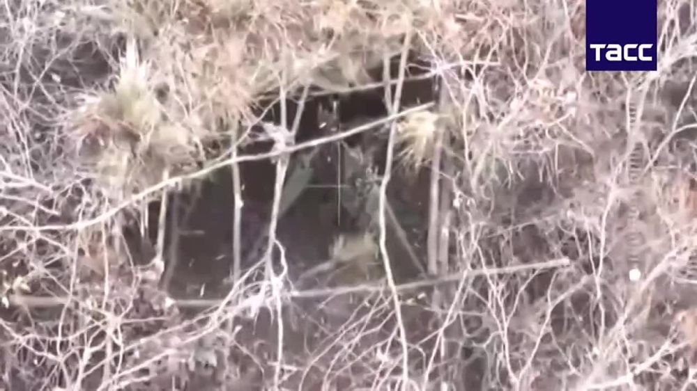 �� ��� �� ��������. ������� �������� 120-�� 2�11 ��� ���������� �������� ����� ��������� ���������� � ������ ����������� � ���