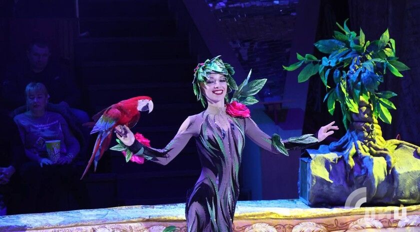 Новая программа «Магия великих слов» стартовала в Луганском цирке