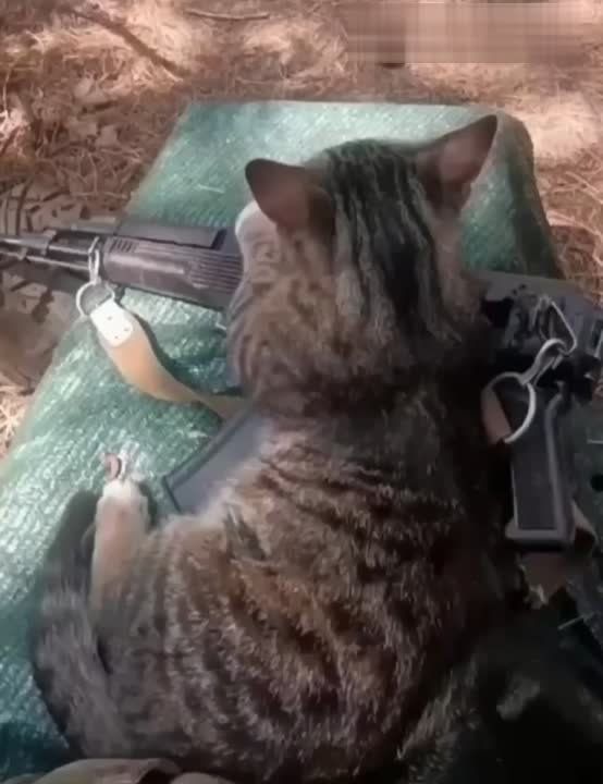 �������� ������� �� �������