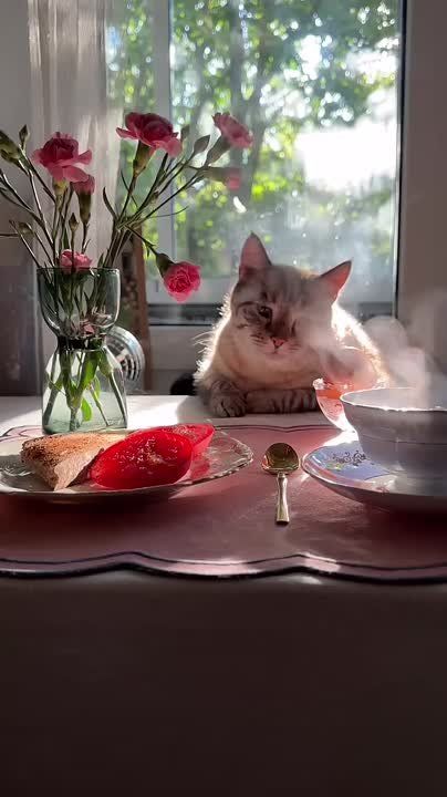 ������� ����� ������� � ���������� ���� ����� ����������� � ������ �� ���������