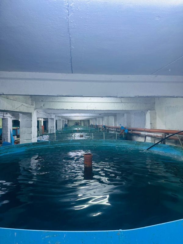 ��������� ����������� "������" ��������� ��������� ������������ ������ � 10 ���