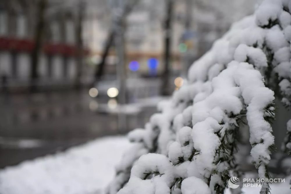 ������ �� ����� ����������� ������