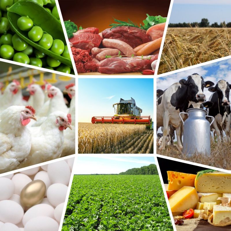 ������������� �������� ��� ������������ ����� ���