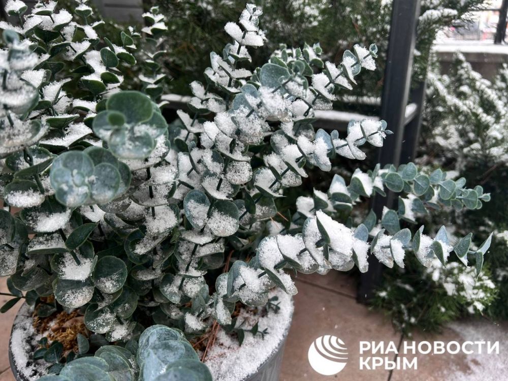 ������ �� ����� ����������� ������