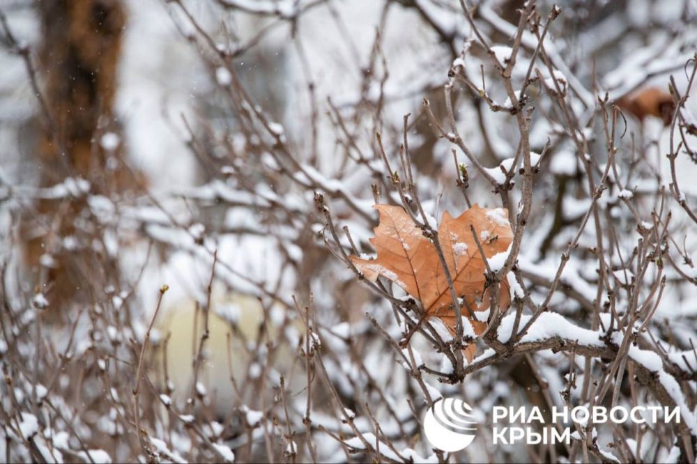 ������ �� ����� ����������� ������