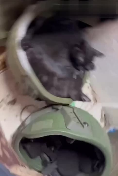 � ����� �� ����������� � �������� "������" �� ��������� �������� ��� ��� �����: ������ ��������, �� ��� ������ � ����� �������� �� ������ ����