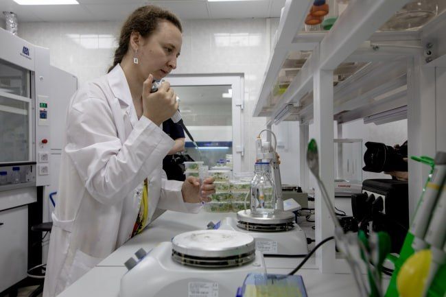 "� ��������� ���� ������ ������� ���������": ����� ��� ��������� ������ ����������