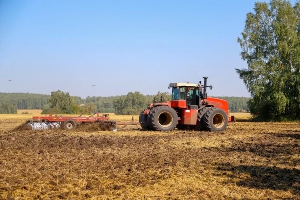 � ��� ����������� ������ �������� �������������� ������� ��������������