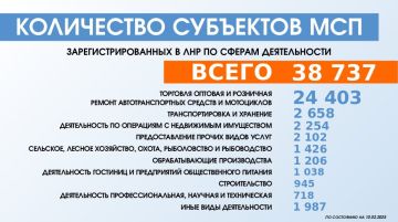 По состоянию на 10 февраля 2025 года в реестре субъектов малого и среднего предпринимательства по Луганской Народной Республике зарегистрировано 38 737 предпринимателей, сообщили в Минэкономразвития ЛНР