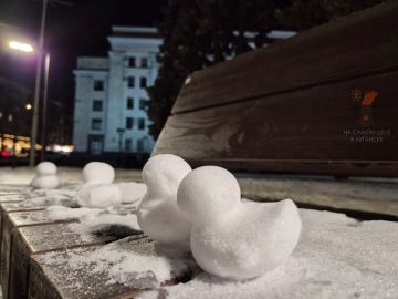 Поймали в объектив немного зимней милоты в Сквере Героев ВОВ