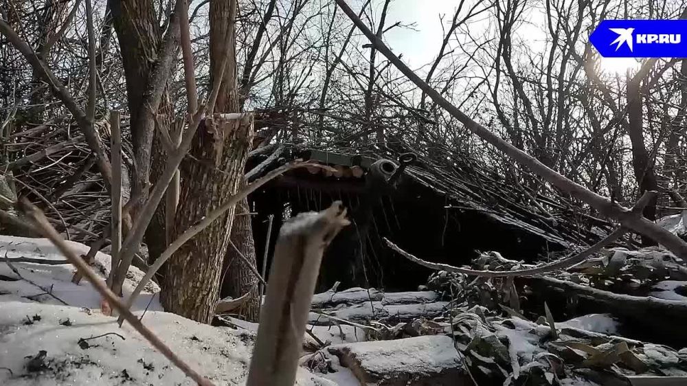 �������� ��������� ����: ���������� � ��� �������� ��������������, �� � ���� ��� �� ����������