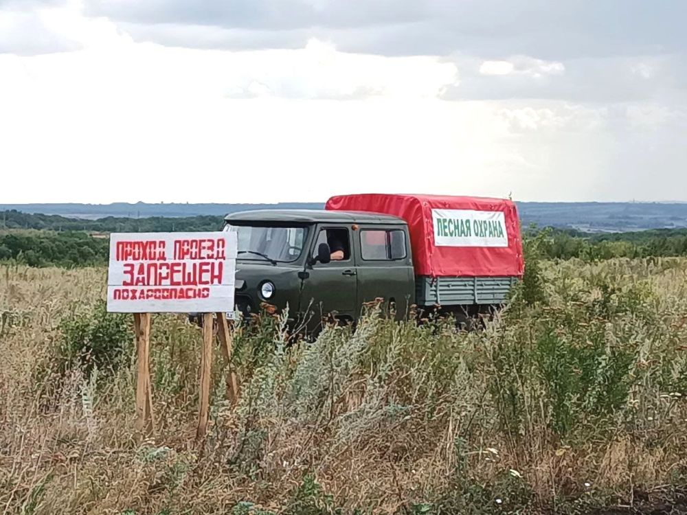 � 2025 ���� ��������������� ����������� ���������� ������������� ���������� ���� ��������������� �����������