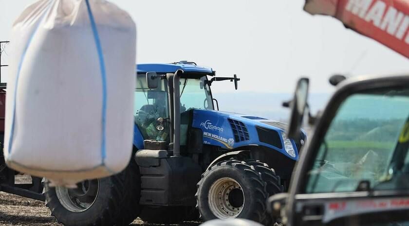 Более 80% сельскохозяйственных предприятий ЛНР прошли регистрацию в российском правовом поле