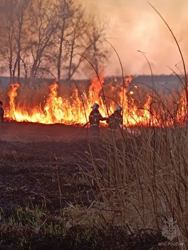 ����������� ������ � ����� �������, � ������ � ���������� ��� �����������