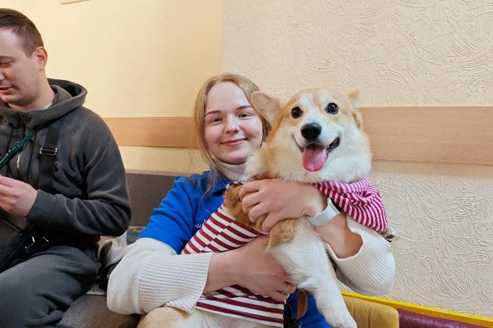 ���������� � �� ����� ������ �������� ��������� �����