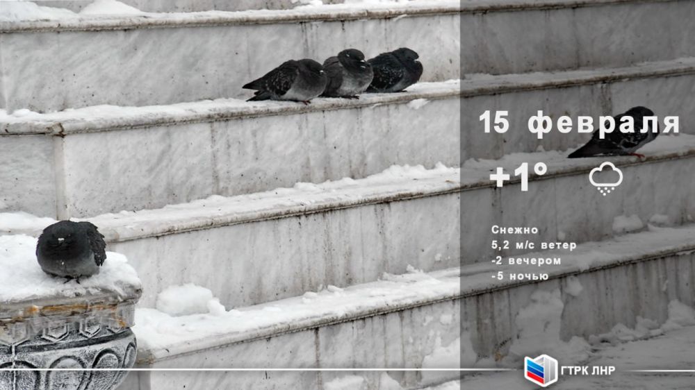 ������ ����, ��������� �������� ����������!