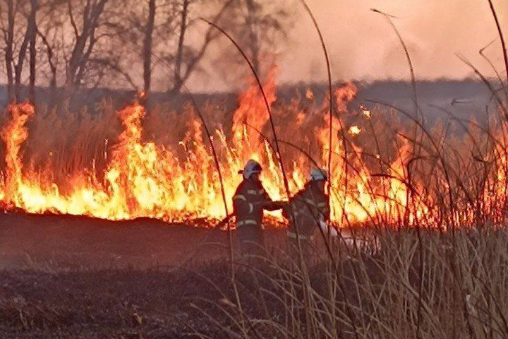 � ��� ������ 30 �������� ������