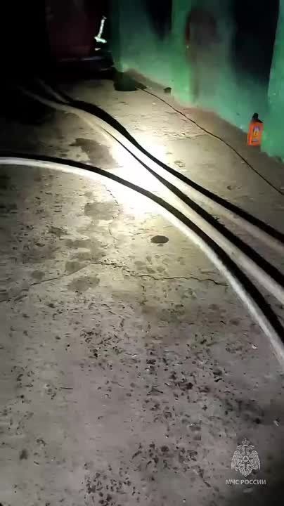 ������������ �������� ������ ����� ���������