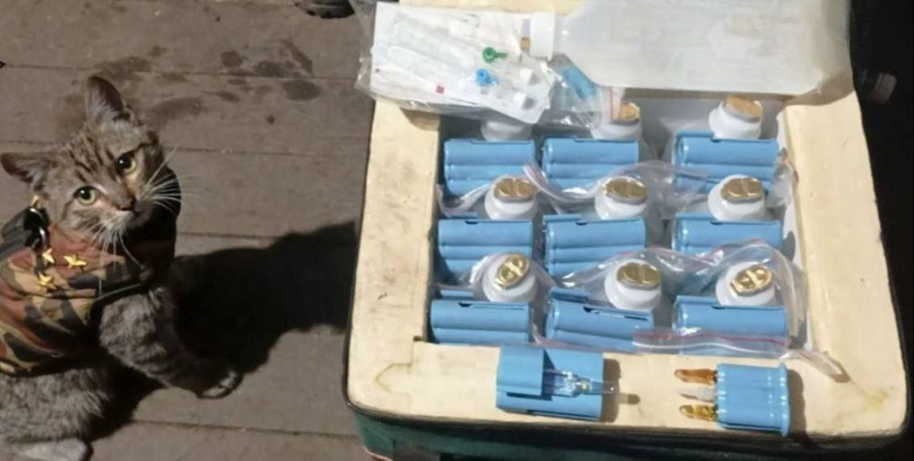 ��������� ������ � ������ ���������� ������ �� ������� ������������� ��� ������