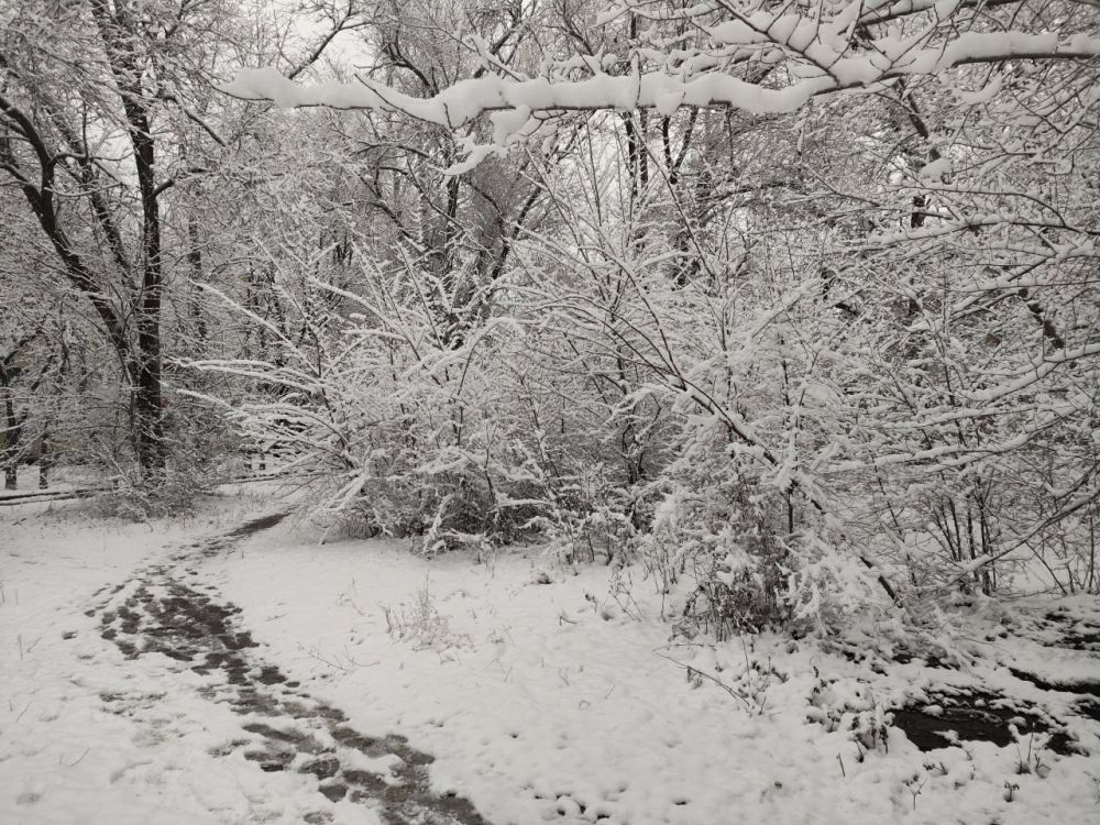 ���� � ���������� ������������ ��������� � �������� 16 �������