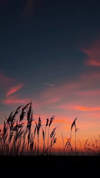 ����� ���� ��������� �����