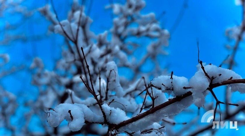 ��������� ������������ 17 ������� � ��� �� 20 �������� ������, ��������� ���� � ����������