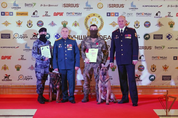 Кинологи и служебные собаки Росгвардии – участники СВО стали лауреатами международного конкурса профессионального мастерства