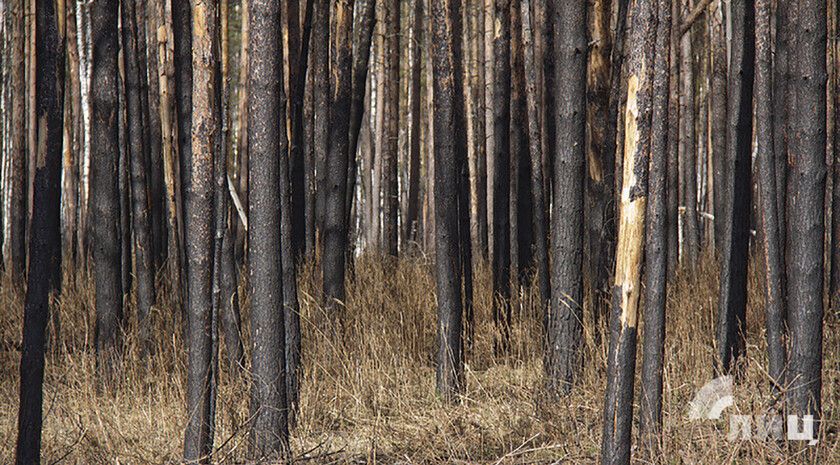 �������� ����� �������� ������ ����� ������� ����� ��� � ����������