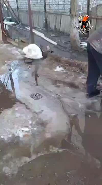 #�������� ������ ����!