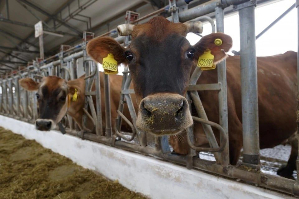 ������� �������� � ��� ��������� �������� �������� �������� �����