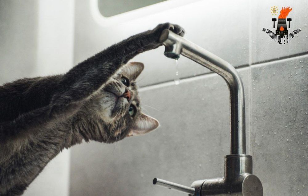 ������� ����� ����� ��������� �������� �� ������ ��� ����