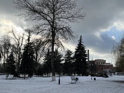 � ��� ������ ���������� � ��������������� ���� ������������ �����������