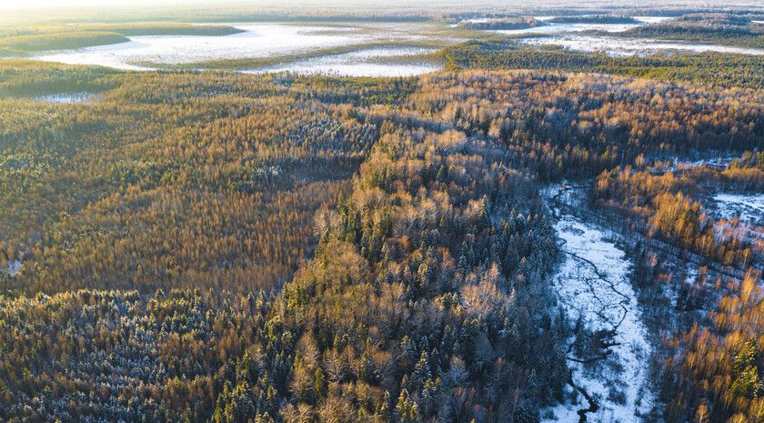 ����������� ������ �������� ��������� ������� �� ������������ � ��������� �����������