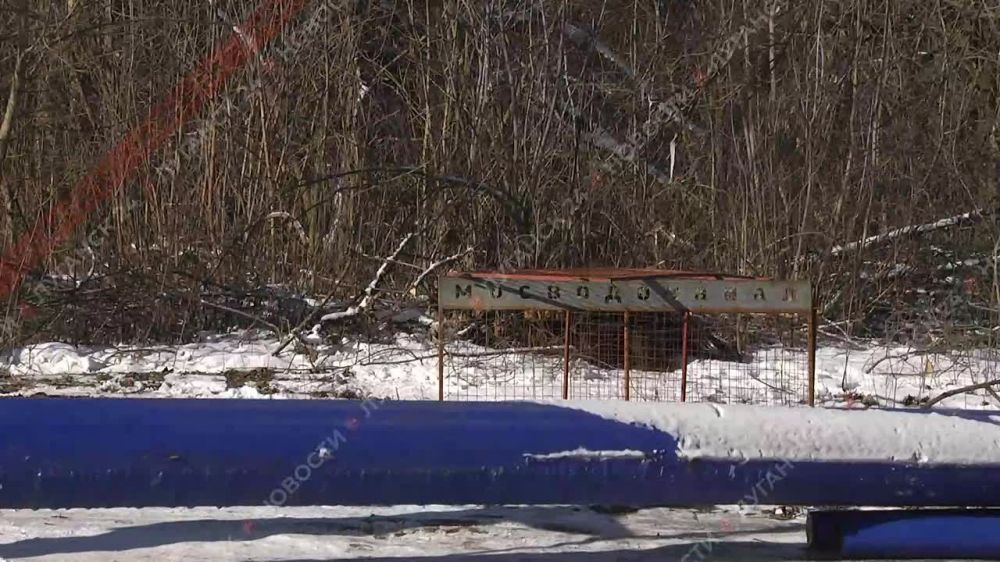 � ������� ��� ������� � ������ ������� �� ����� 50 ��� ������� ��������