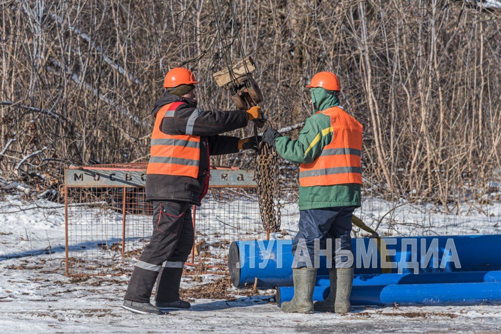 � ������� ��� ������������ ����������� �� ������ � ������������� ��������� �������� ������������� ����