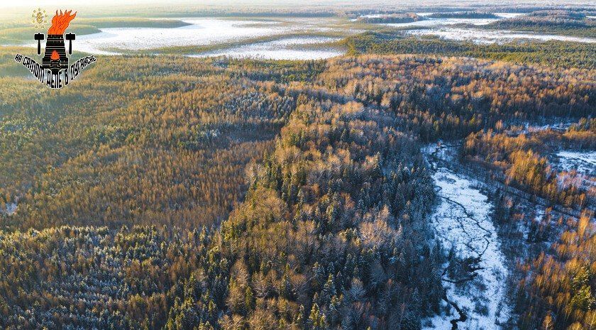 ���������� ���������� ����������� ������� ��������� ������ ��������