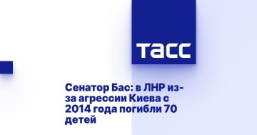 Сенатор Бас: в ЛНР из-за агрессии Киева с 2014 года погибли 70 детей