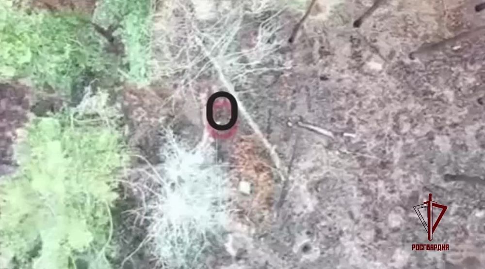 ������� ���������� ��������� ������� ����������� ����� Starlink ��� � ����������� �������