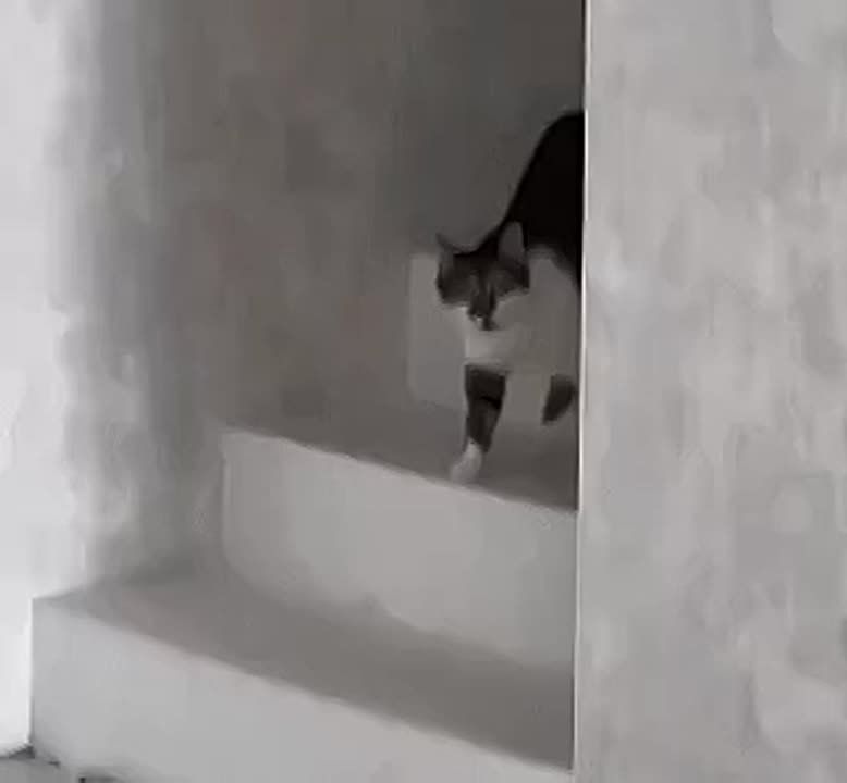 � ��� ������ �������� �� ������ ���������, �� � ���������