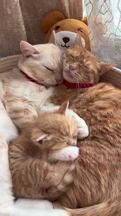 ���������� ������ ���� ���� � ������� � ��������� ������������ � �����, ������� �� ���������� ����� ����