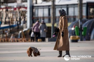 Погода на новых территориях России