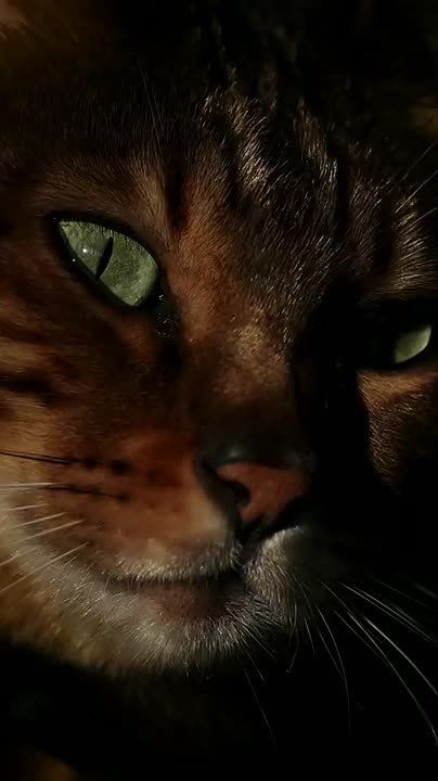 ���� �������� ���� �������� � ������� ����� �������