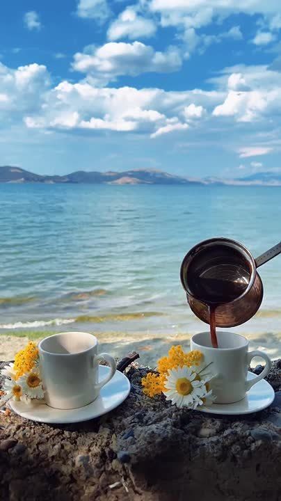 �����, ������� ����� ����� ����, ����� ����� ������