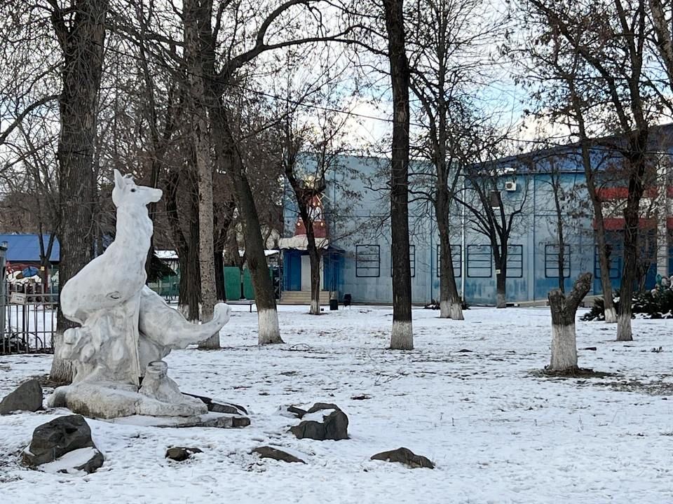 �� 23 ����� ������ ��� ����� �������� ���������� ��� ���������������